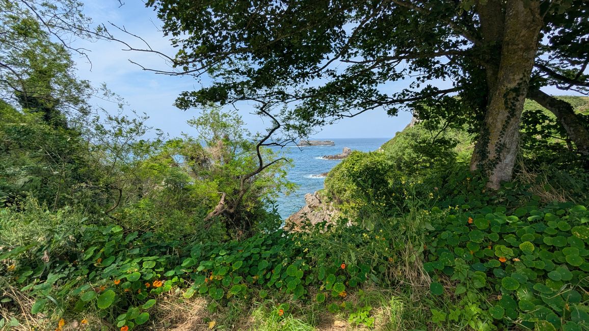 11. Stage Camino del Norte from Serdio to Pendueles