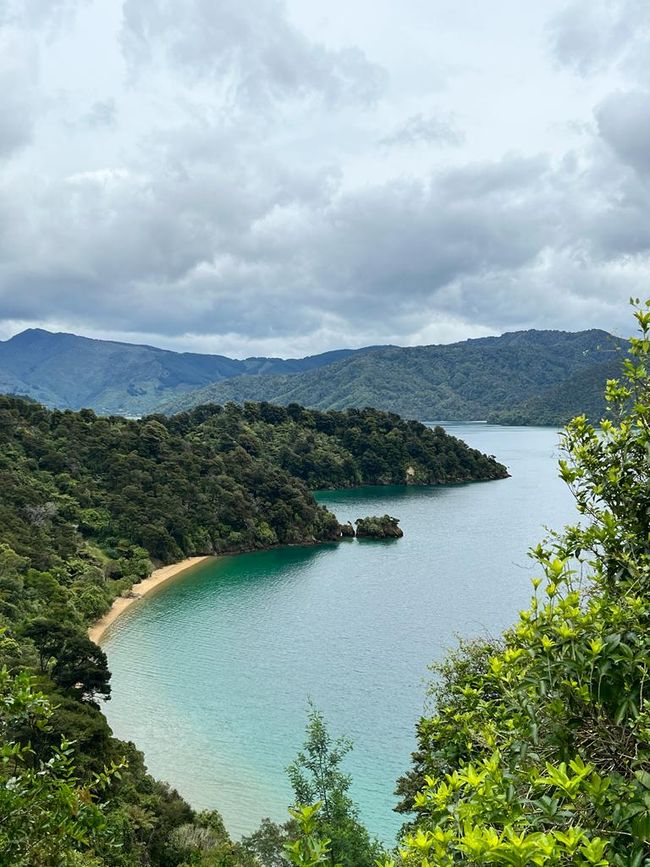 View from Queen Charlotte Drive (road between Nelson and Picton)