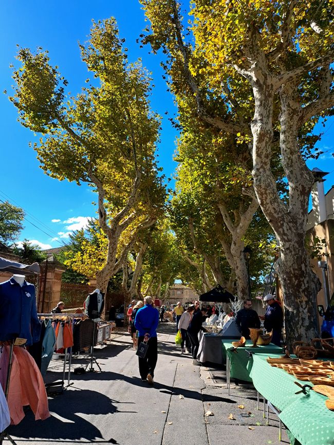 The Flavors of the Alpilles