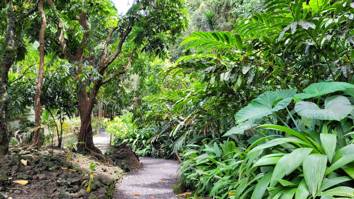 Tour around the edge of Tahiti-Nui