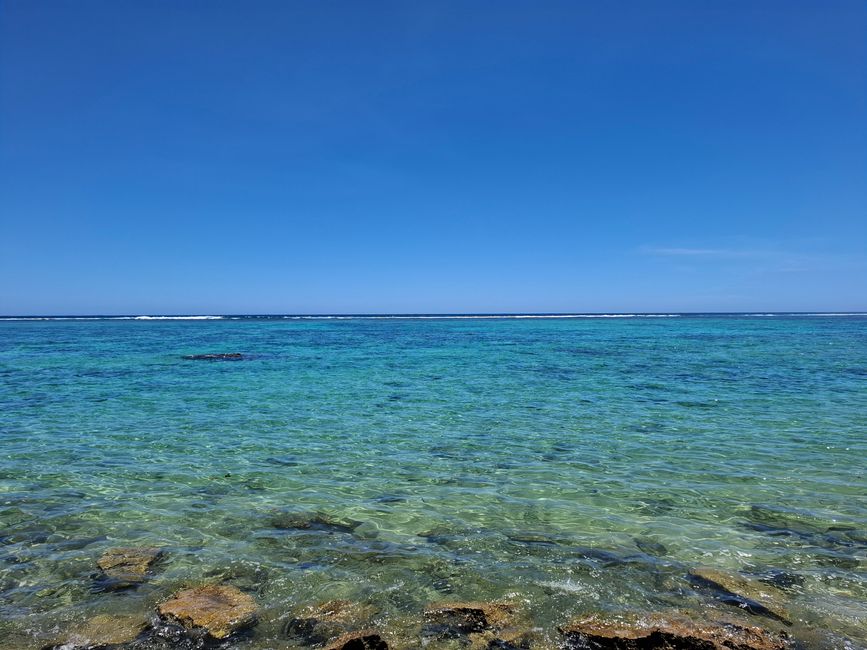 Oyster Stack - mit dem Korallenparadies 