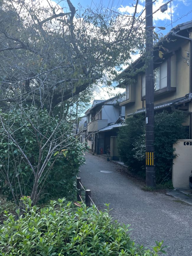 2.Kapitel: Nix Jetlag, oder „A temple a day keeps the doctor away“, man kann sich aber auch auf den Philosophenpfad begeben