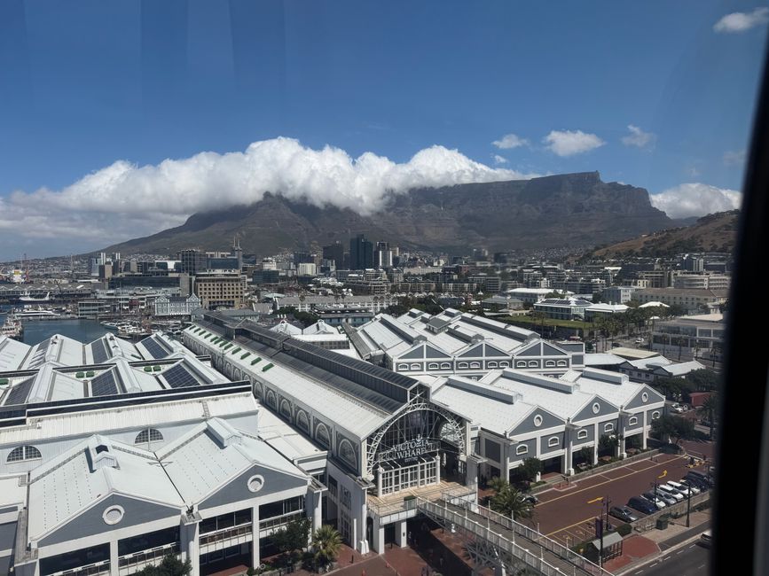South Africa 🇿🇦 Week 4