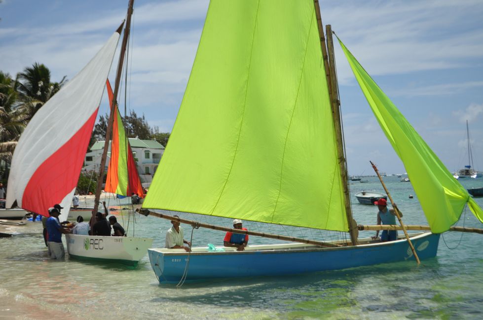Regata local