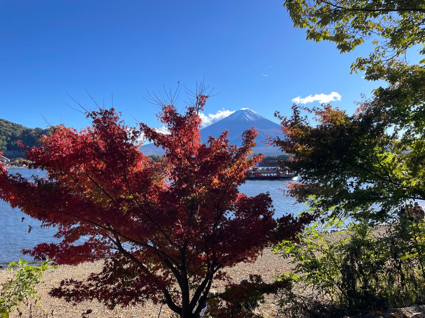 6. Ausflug zum Koli von Japan oder : Schon wieder ne fast-Katastrophe