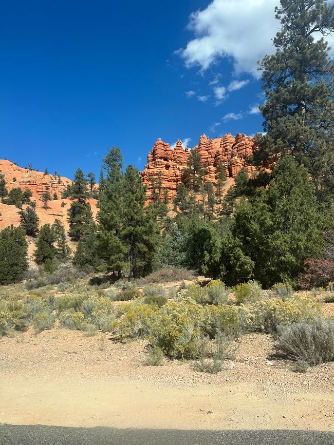 Tierra de Cañones: Zion y el Cañón de Bryce❤️