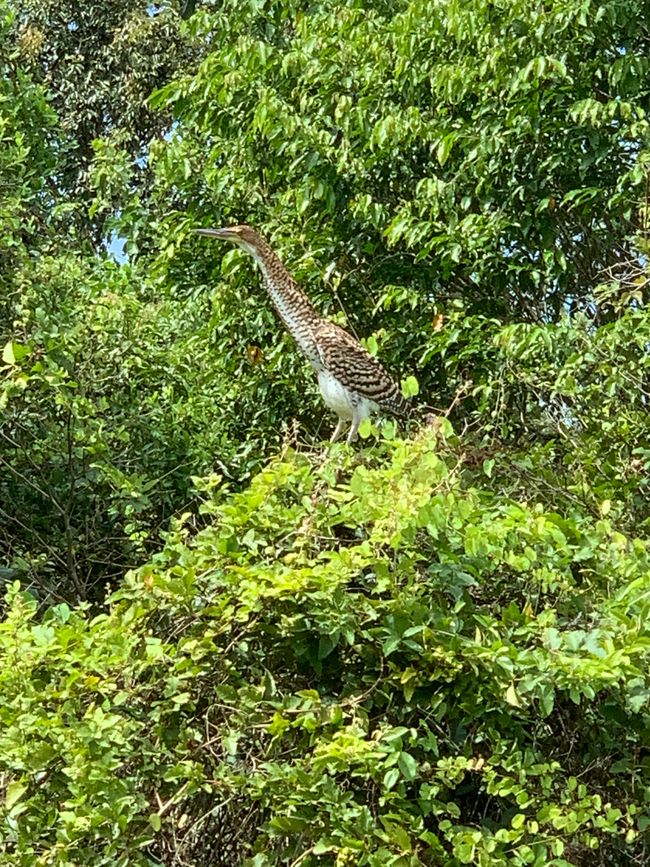 Trinidad (Chuchini Reservat)
