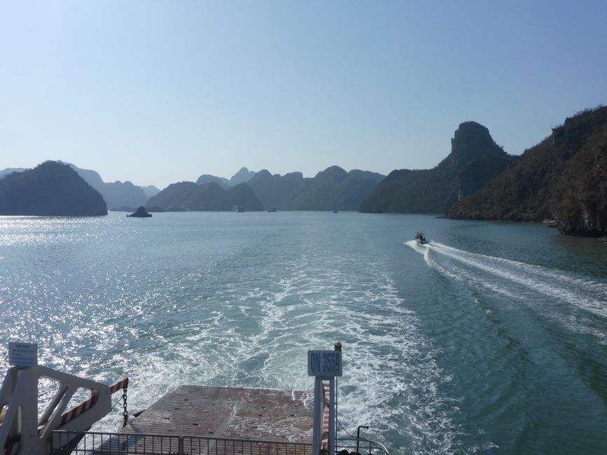 2025-01-11 Cat Ba, Vietnam