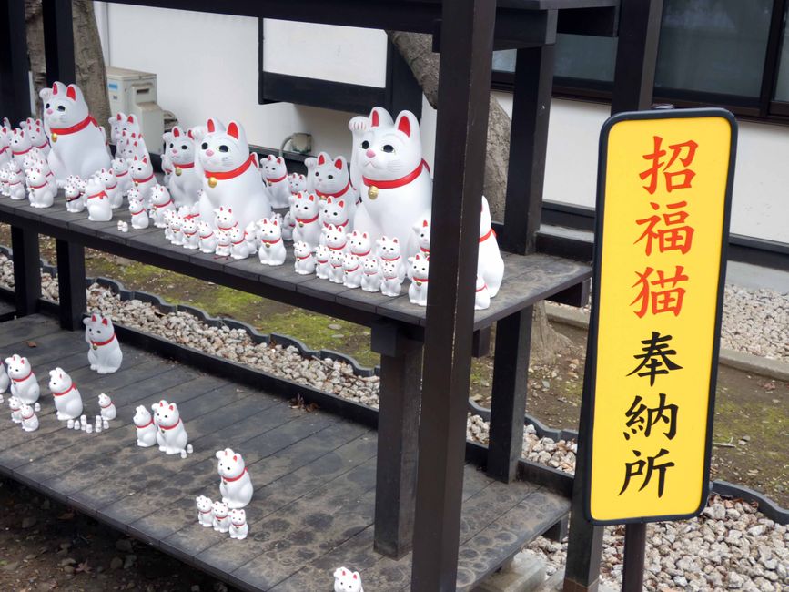 Katzentempel Gotoku-ji