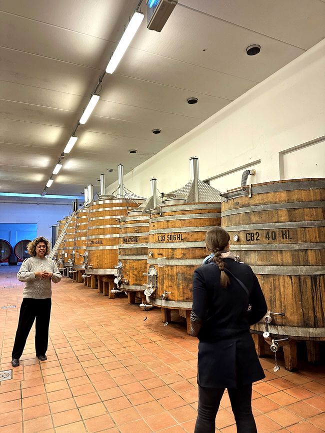 Tuscany Tour - Stop 3: Wine Tasting in Montalcino
