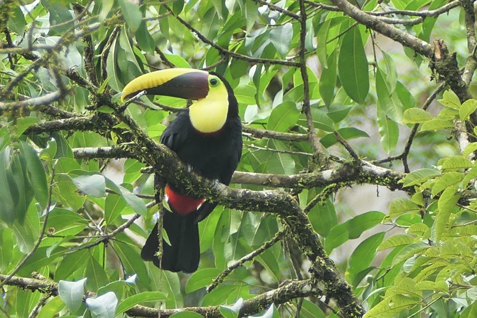 Costa Rica 2025