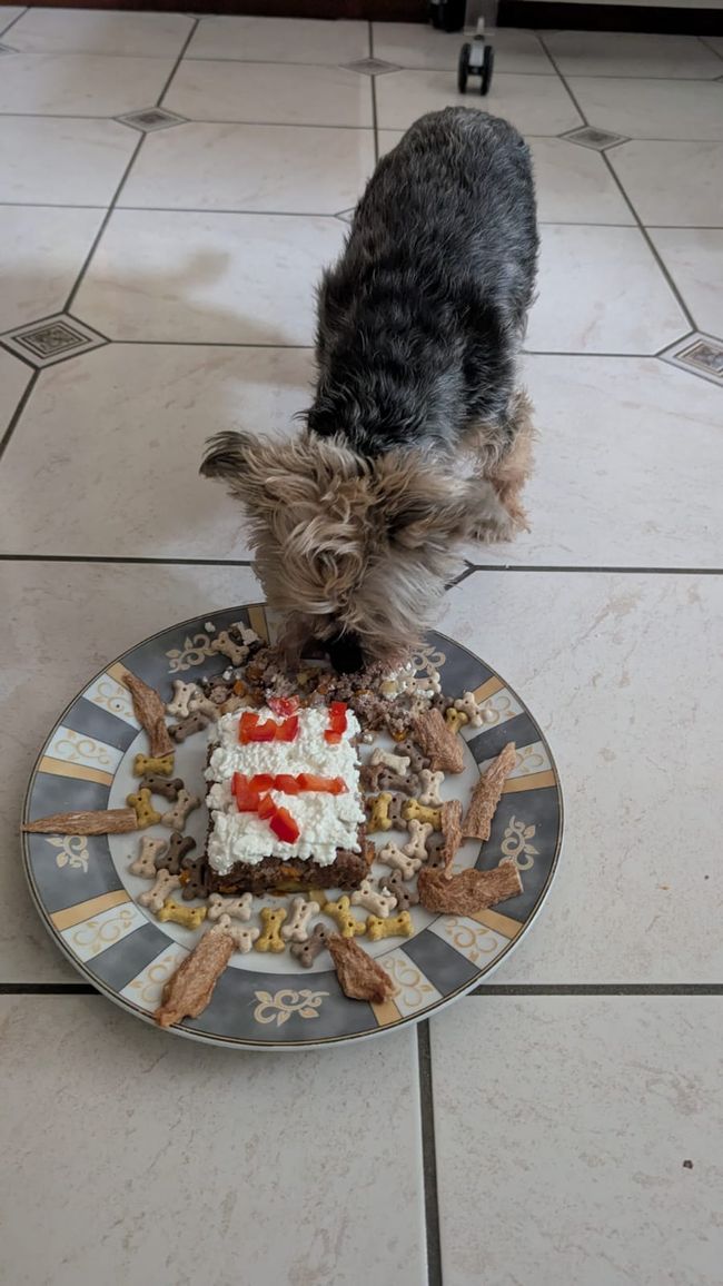 Happy Birthday Littlefoot 🐕❤️