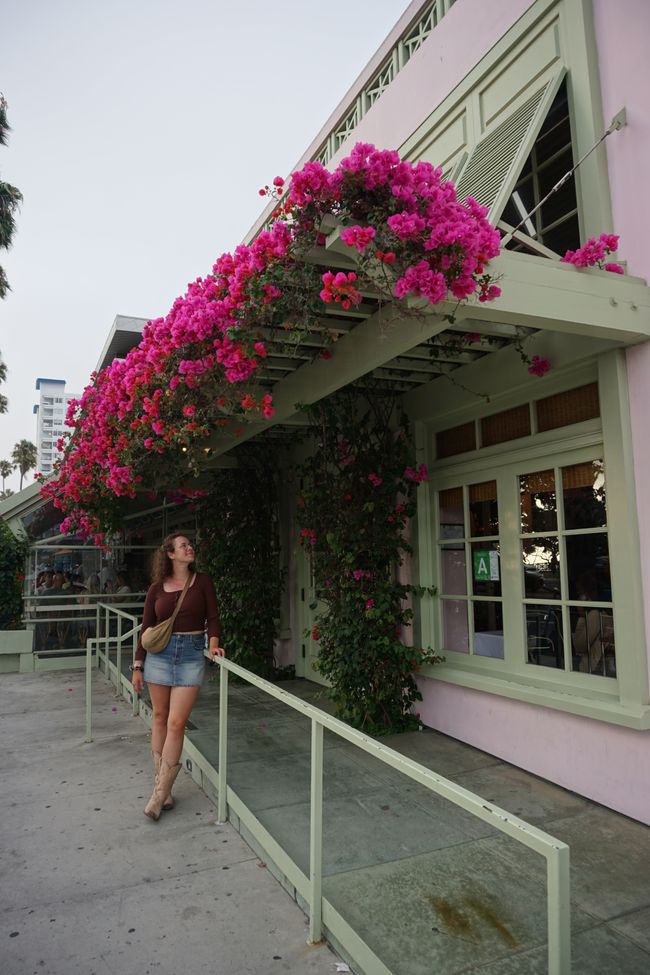 Tag 19 - Venice Beach, Santa Monica & Abschied aus Kalifornien 