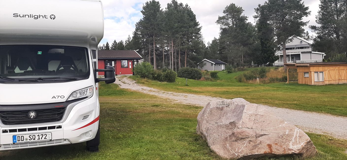 Des ruches partout en Norvège