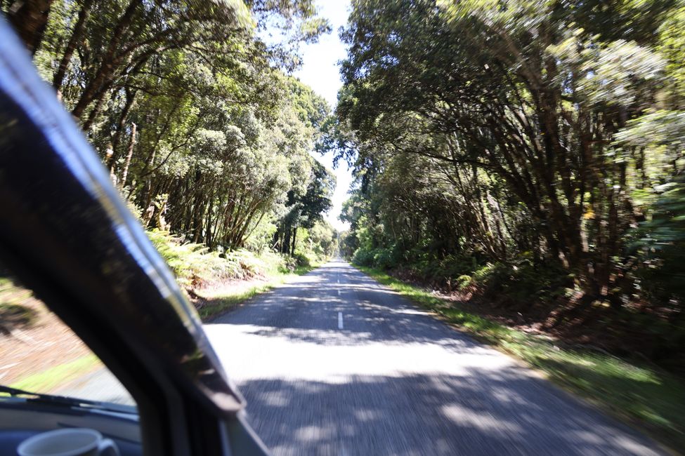 West Coast bis Jackson Bay