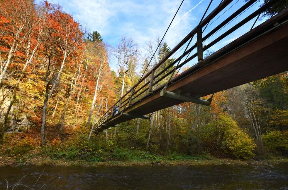 Senderismo de otoño en el Wutachschlucht: rojo, amarillo, naranja... ¡y tú en medio!