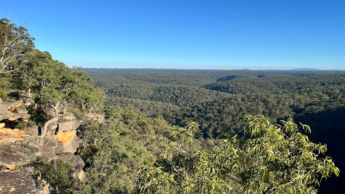 Blue Mountains