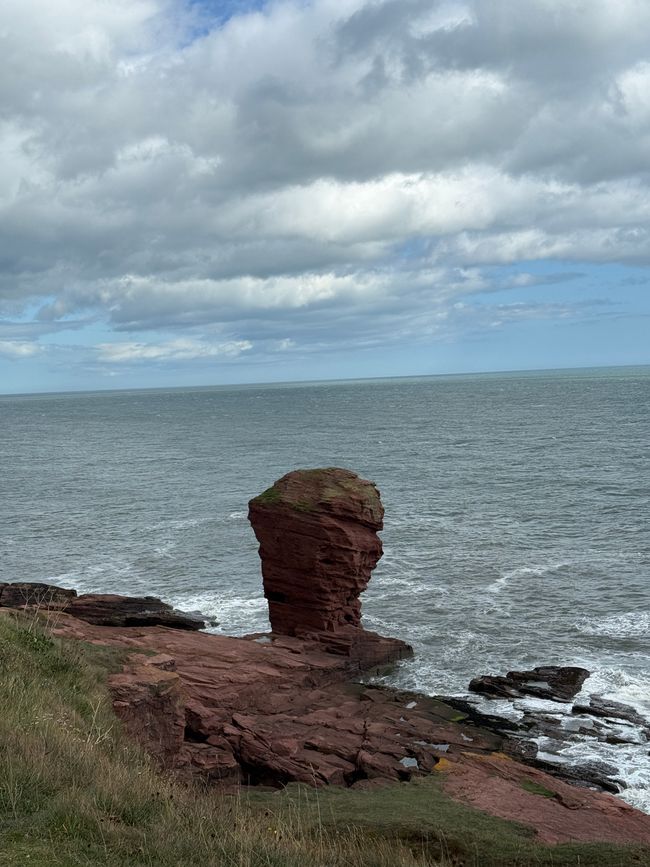 Arbroath, Smokies und Klippen