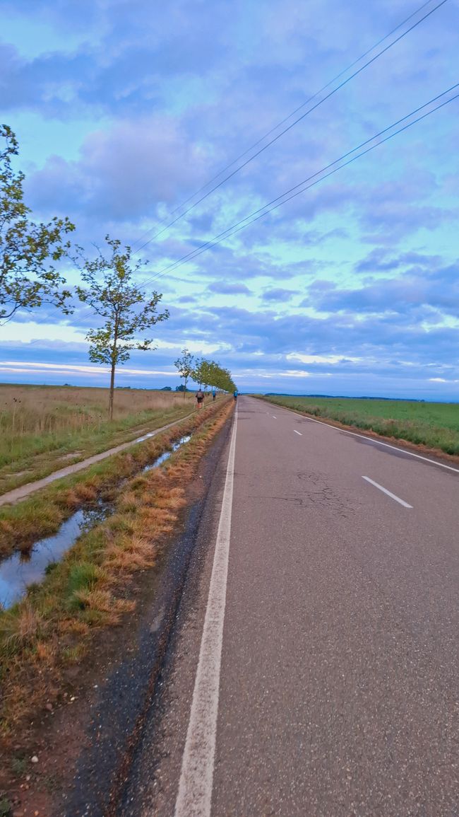 Et encore du plat 