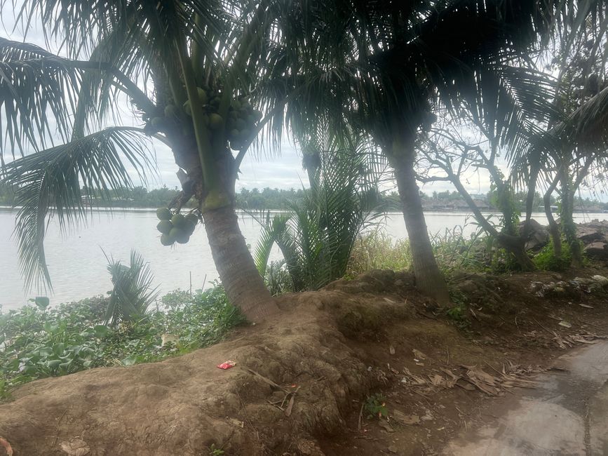 Tag 10 - Ho-Chi-Minh-City: Il Delta del Mekong e la speranza del sogno scintillante