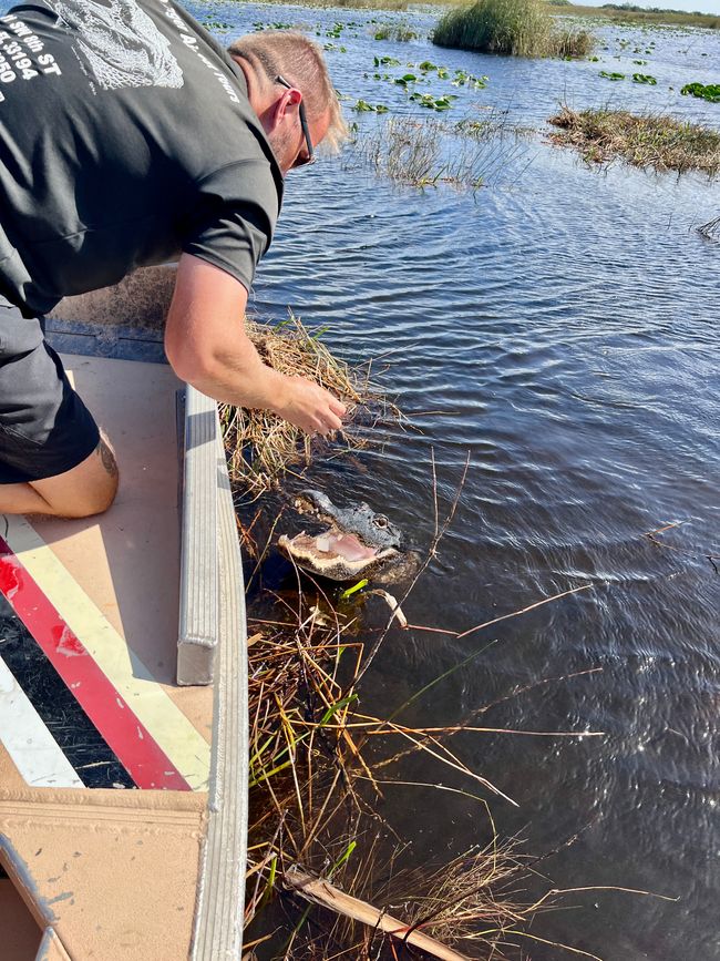 Tag 375 - Airboat-Tour @ Everglades