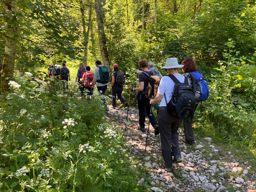 28 Wutachschlucht Pro Wolermoos