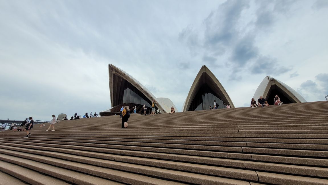 Merry Christmas (ob man will oder nicht) und mehr in Sydney