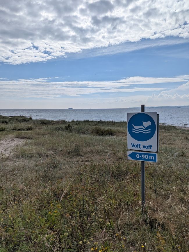 Dog beach