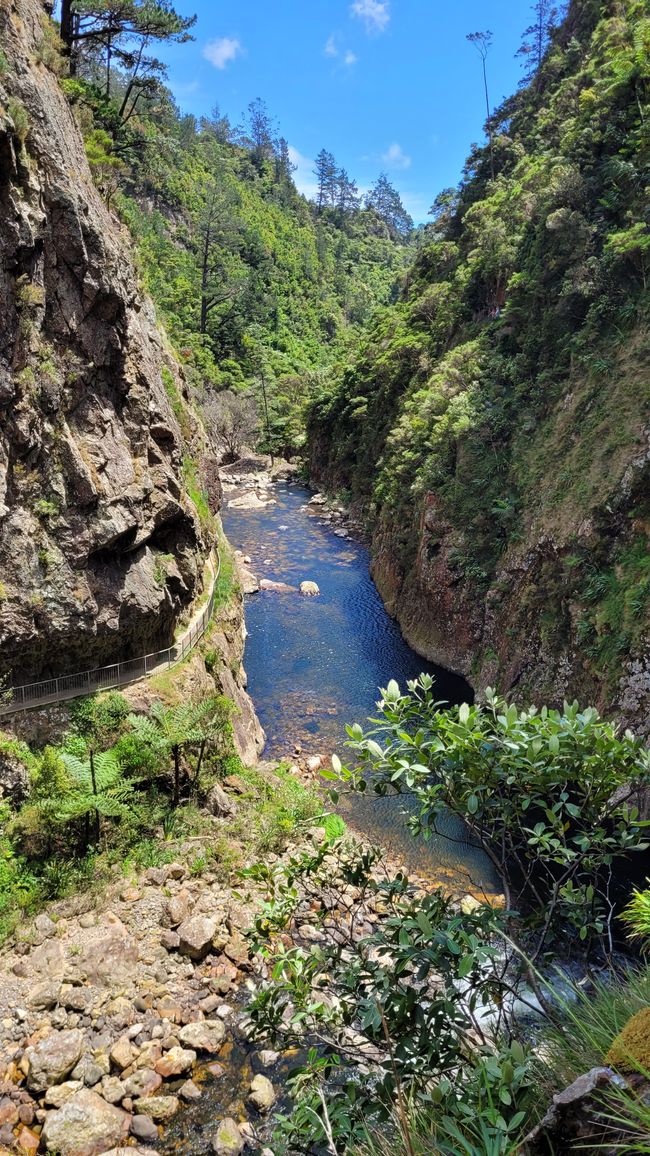 On the Trail of the Gold and Ore Mine in the Karangahake Gorge