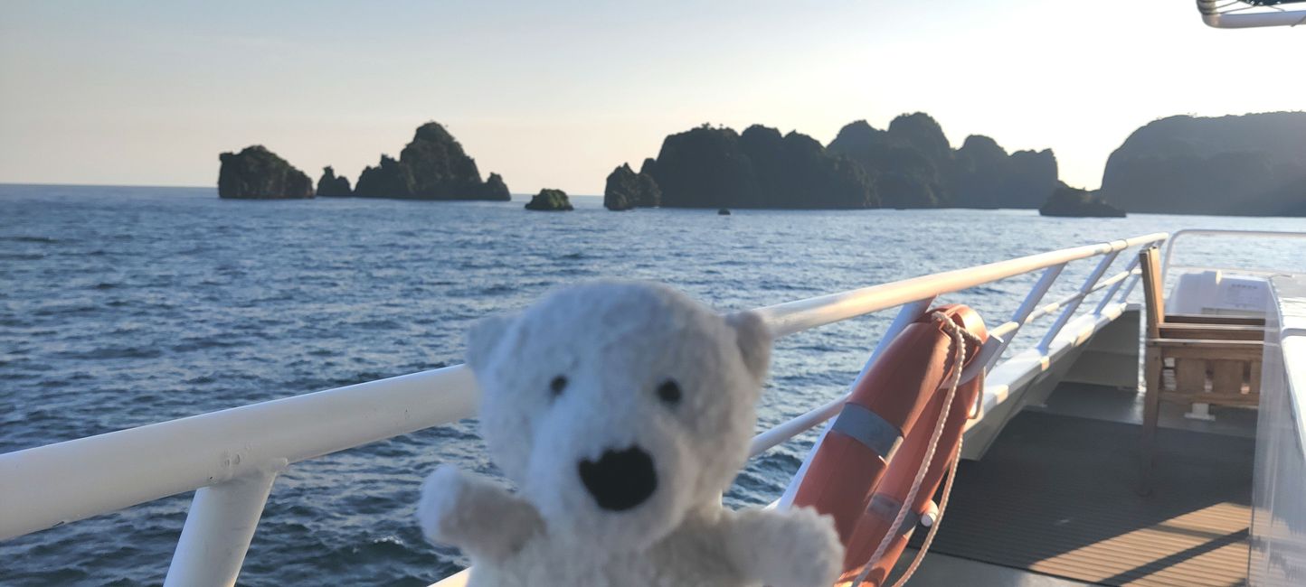 Travis auf Tauchsafari in Raja Ampat