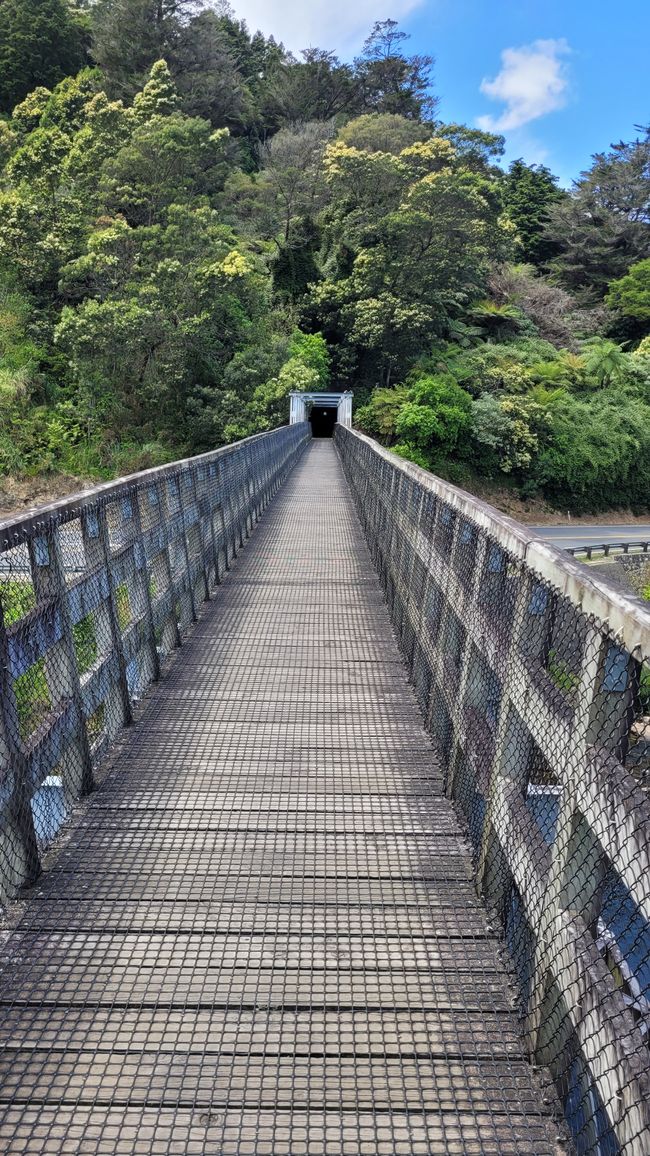 On the Trail of the Gold and Ore Mine in the Karangahake Gorge