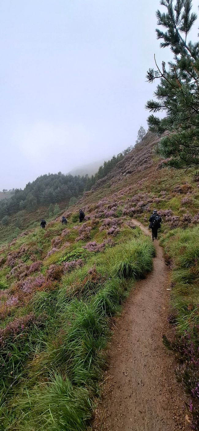 Tag 9 - Fort William <-> Mallaig