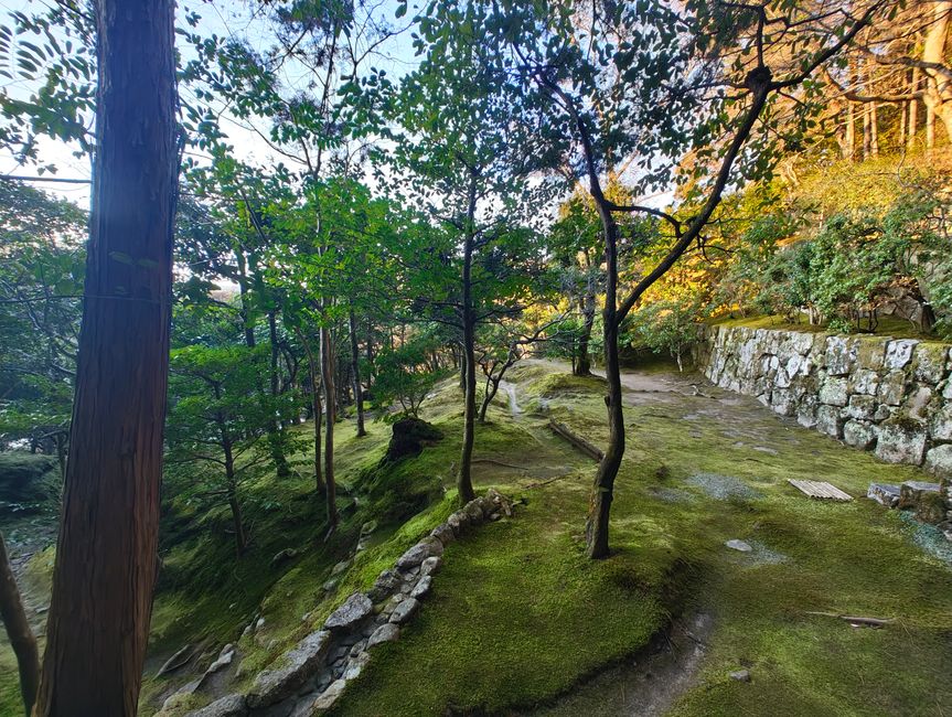Visite des temples à Kyoto