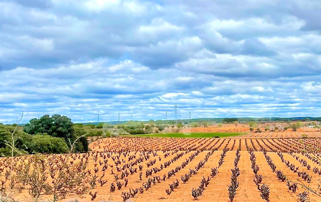 The whole region has been a high-quality wine-growing area since Roman times.