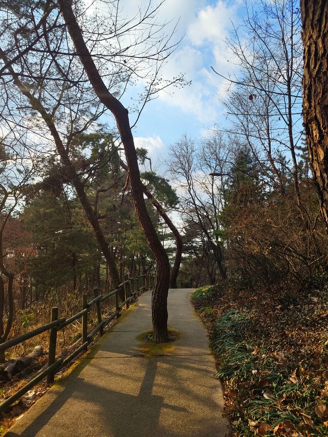 Suppe am Fuße des Seoul Tower