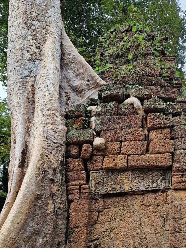 Baphuon und Ta Phrom - Himmelsleiter und himmlischer Ort