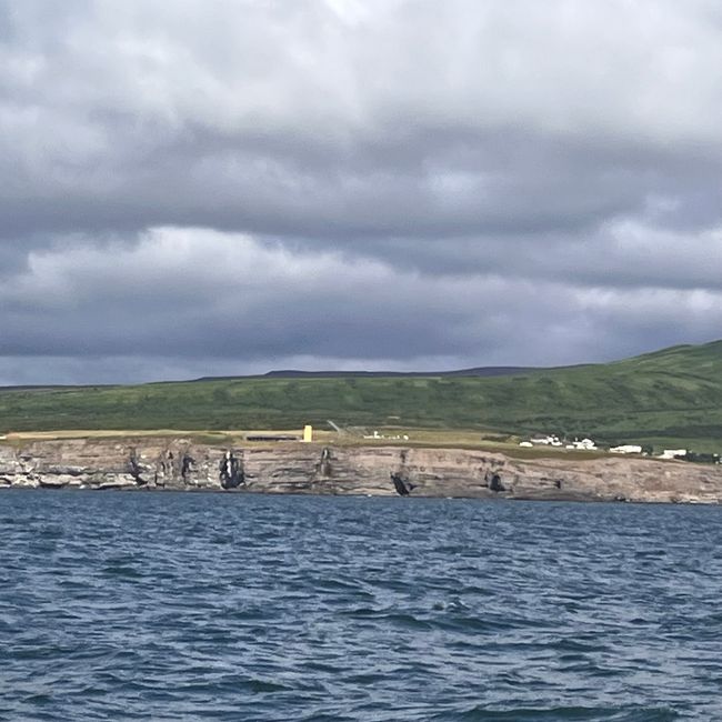 Whale Watching Husavik