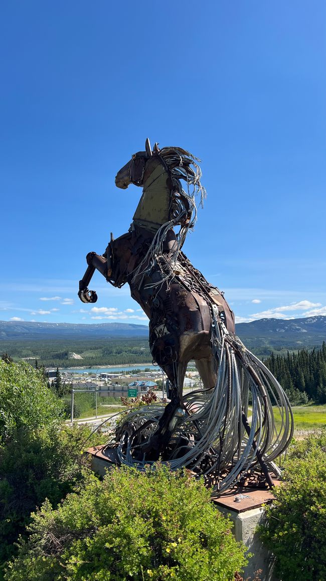 Horse of Whitehorse 
