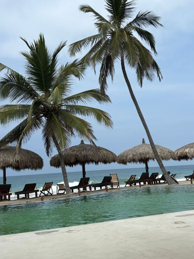 Settimana 16: Santa Marta