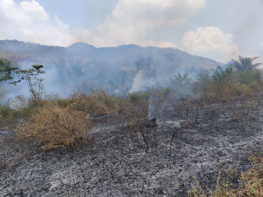 Locals brennen die abgeernteten Felder ab