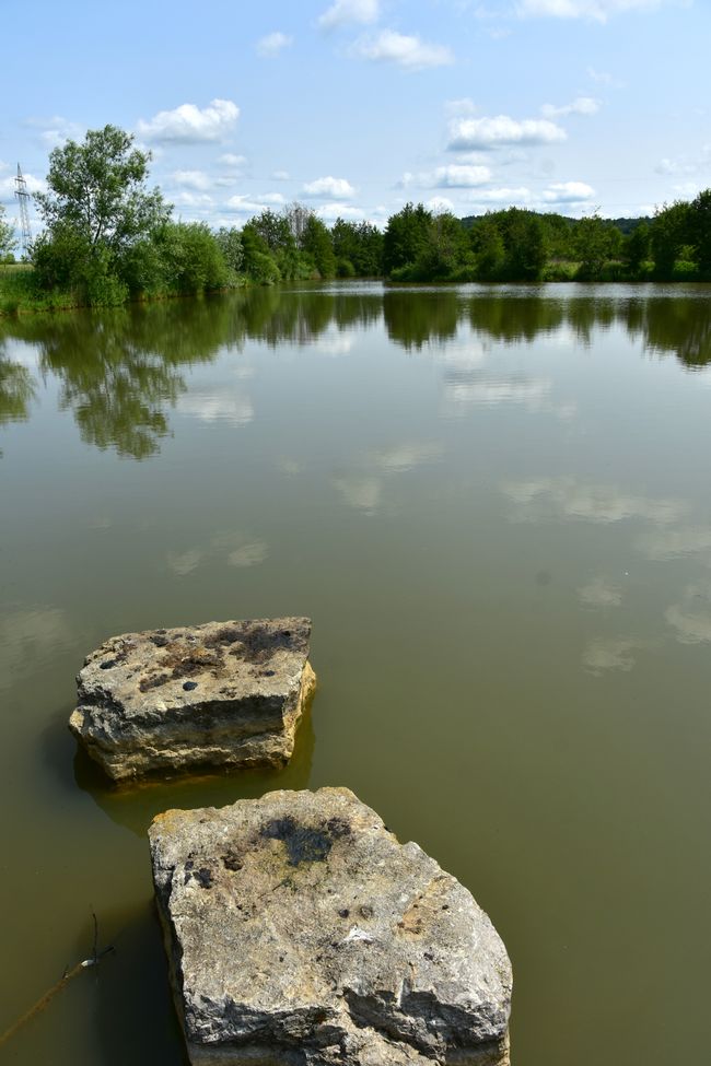 * * * S E C H T A S A F A R I - der Auerochsenweg
bei Bopfingen * * *
