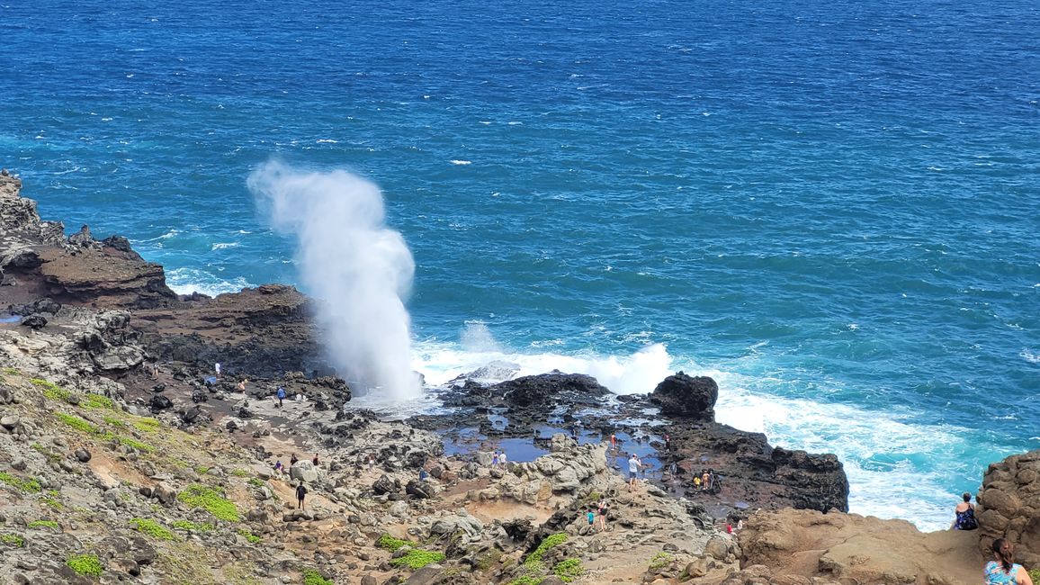 Oh my God, what a ride ... up to Nakalele Point, grrrrr :(