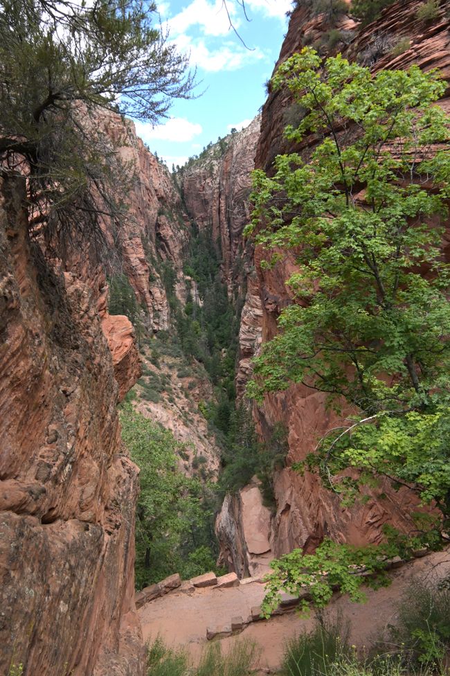 Auf dem Rückweg von Angels Landing