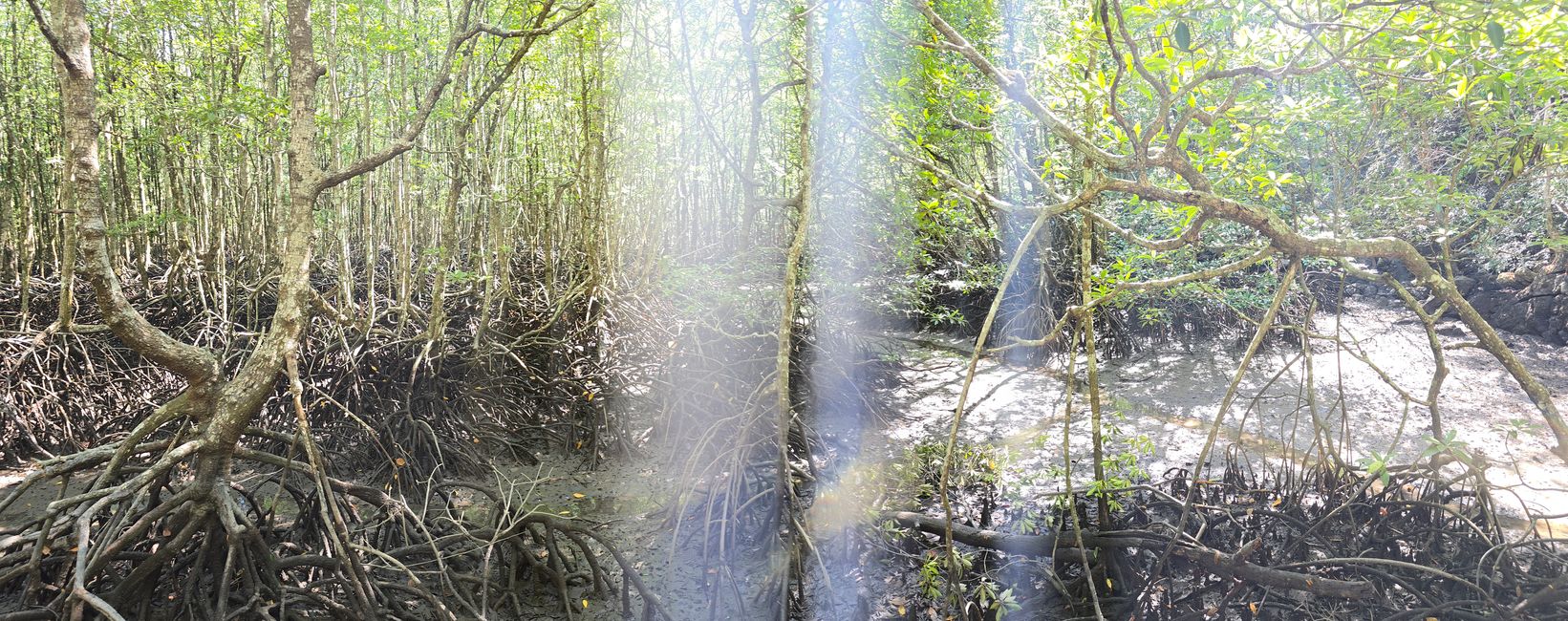 Langkawi - Reif für die Insel!