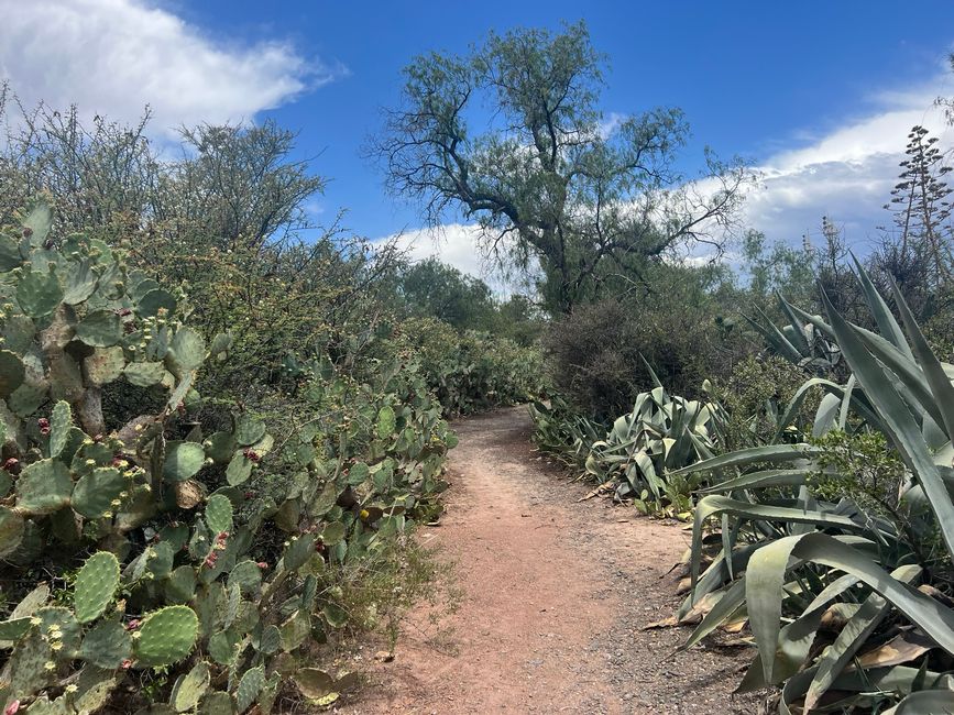 🛠️👨‍💻Tage 49-50 (25.-26.11.) Mendoza