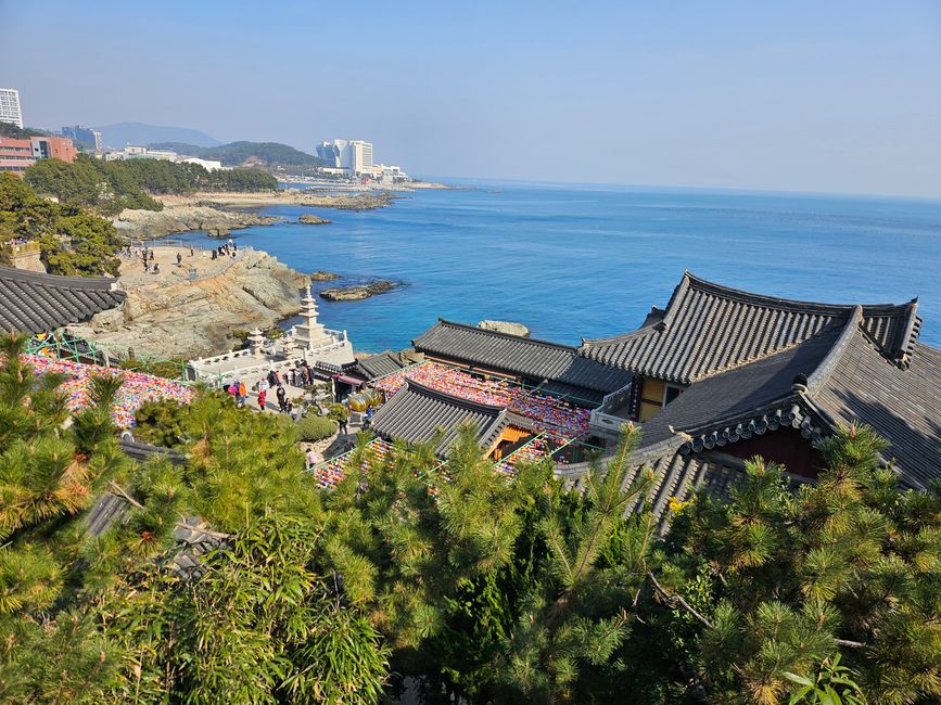 81. 标记釜山,韩国,2026年2月13日