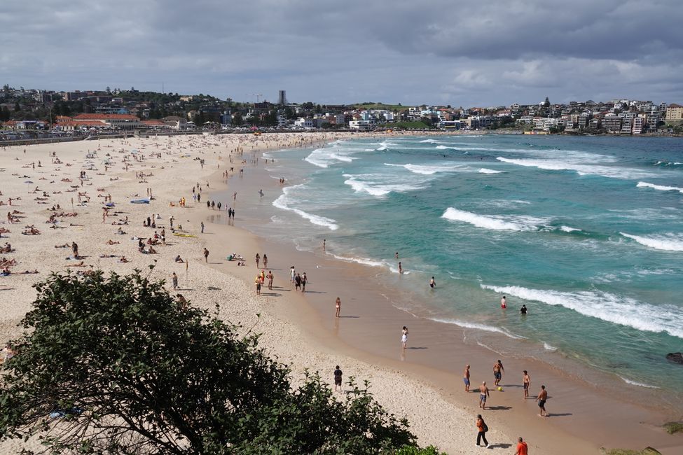 Bondi Beach