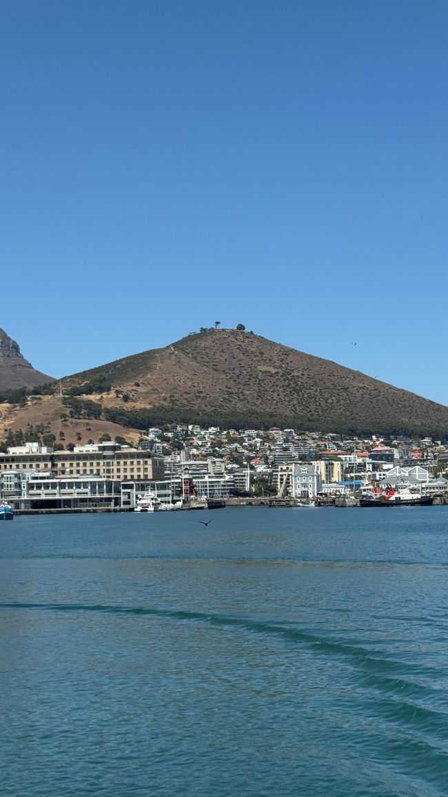 Tour del porto a Città del Capo, Spiaggia di Muizenberg, Spiaggia di Boulders, Capo di Buona Speranza