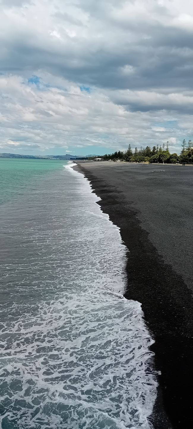 Napier