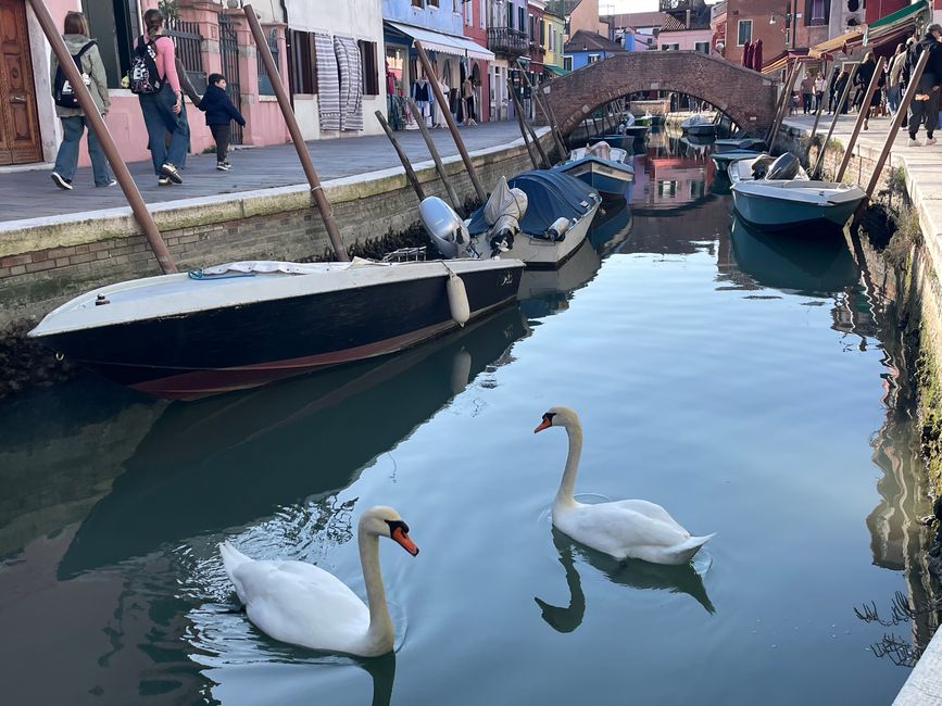 Strada principale-canale